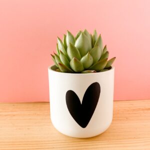Maceta Corazón
