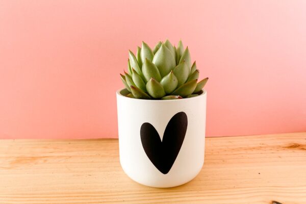 Maceta Corazón