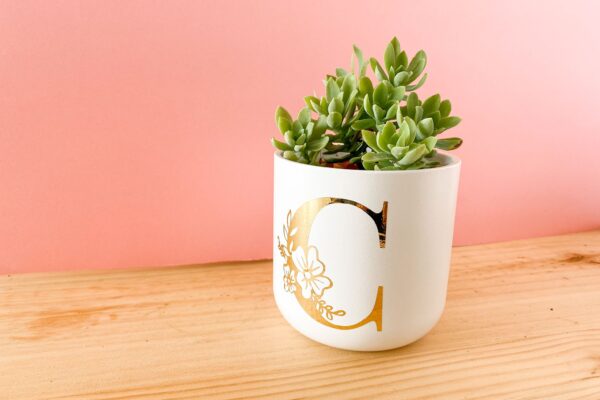 Maceta Personalizada - Imagen 3